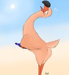  avian bird bottle butt drunk flamingo flashing gerry hi_res razorbill solo 