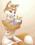  age_difference anthro canine child clothing cub duo eyes_closed female fox fox_mccloud good_parenting green_eyes hi_res mammal mother mother_and_son nintendo parent shiroiwolf simple_background size_difference smile son star_fox tan_background video_games vixy_reinard young 