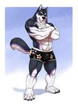  abs anthro biceps black_nose blue_eyes boxers_(clothing) bulge butt canine chest_tuft claws clothed clothing crossed_arms dog eclipsewolf fur grey_fur hi_res husky looking_at_viewer male mammal muscular pecs purple_fur sebastian_king solo standing teeth toe_claws topless tuft underwear united_states_of_america white_fur 