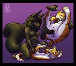  2016 anthro anthro_on_feral anus balls bestiality black_fur black_hair blue_eyes breasts brown_fur brown_stripes cub cum cum_in_pussy cum_inside dickgirl duo erection feline female feral fur hair hindpaw intersex intersex/female intersex_on_feral interspecies lichfang lying mammal missionary_position multicolored_fur nipples nude on_back orange_fur pawpads paws penetration penis purple_background pussy rodent sex simple_background smile squirrel stripes tiger vaginal vaginal_penetration watermark white_fur young 