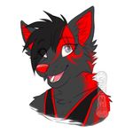  2015 ailuranthropy anthro black_fur black_hair bust_portrait canine chest_tuft clothed clothing digital_media_(artwork) eye_through_hair female fur grey_eyes hair hair_over_eyes icon inner_ear_fluff looking_at_viewer low_res mammal multicolored_fur open_mouth portrait red_fur red_nose shirt simple_background smile solo translucent_hair tuft two_tone_fur tylo_soulspirit watermark white_background wolf 