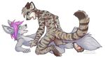  2016 ailuranthropy andean_mountain_cat anthro canine chibi commish cuntboy cute duo fox intersex intersex/intersex kayfox mammal nude open_mouth sex smile soli tongue tribadism 