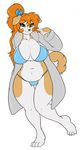  anthro big_breasts bikini breasts brown_fur canine clothed clothing dog female fur fur_coat green_eyes hair hi_res huge_breasts kibbles long_hair looking_at_viewer mammal multicolored_fur orange_hair seductive skidd slightly_chubby solo swimsuit thick_thighs two_tone_fur uberquest white_fur wide_hips 