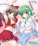  brown_eyes brown_hair detached_sleeves green_hair hakurei_reimu kochiya_sanae multiple_girls sakaki_natsu touhou yellow_eyes 