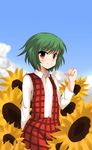  flat_chest flower green_hair kazami_yuuka meneru plaid plaid_skirt plaid_vest red_eyes skirt skirt_set solo sunflower touhou vest 