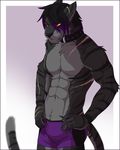  2015 abs anthro biceps black_fur black_hair black_nose boxers_(clothing) cat chest_tuft clothed clothing collar feline feralise fur grey_fur hair hands_on_hips male mammal muscular pecs purple_hair red_eyes scar solo standing stripes topless tuft tyrian_kain underwear 