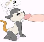  anthro blush cub cum cum_in_mouth cum_inside duo eyes_closed faceless_male fellatio female hi_res humanoid_penis lily_opossum male male/female mammal marsupial nude opossum oral penis poppy_opossum sex thought_bubble unknown_artist young 