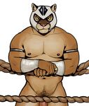  2016 ^69 anthro biceps brown_fur claws cougar feline fighting_ring fur looking_at_viewer male mammal mask muscular muscular_male navel nipples nude pecs penis pink_nose pubes rope solo standing wrestler 