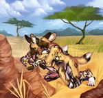  african_wild_dog anal anal_penetration anthro canine cum demicoeur duo erection fur hi_res licking male male/male mammal open_mouth outside paws penetration penis piercing sex smile teeth tongue tongue_out tree utunu 