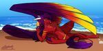  azaleesh beach breasts cel_shading clothed clothing digital_media_(artwork) dragon erica feathers female fur hi_res ice nipples paws seaside smile solo tomcio1992 tongue tongue_out topless wings 