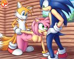  2016 2_tails age_difference all_fours amy_rose anthro arm_grab black_nose blue_eyes blue_fur breasts canine chest_tuft clothing cum cum_in_pussy cum_inside doggystyle double_penetration erect_nipples fellatio female footwear fox from_behind_position fur gloves green_eyes group group_sex hair hand_on_butt hand_on_hip hanging_breasts happy happy_sex headband hedgehog hi_res inside looking_up male male/female mammal miles_prower mobian_(species) multi_tail multiple_tails nipples nude oral orange_fur orgasm patreon penetration penis pink_fur pink_hair reit saliva sex shoes short_hair smile sonic_(series) sonic_the_hedgehog spitroast standing threesome tuft vaginal white_fur young 
