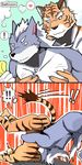  abs anthro bearlovestiger13 canine digital_media_(artwork) feline gou_(character) hi_res himitsuri_no_lagoon male mammal muscular muscular_male nipples pecs tiger wolf 