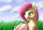  2014 bluespaceling cloud equine feathered_wings feathers female feral fluttershy_(mlp) friendship_is_magic fur grass green_eyes hair hi_res mammal my_little_pony outside pegasus pink_hair portrait sky smile solo wings yellow_feathers yellow_fur 