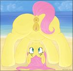  2016 animal_genitalia animal_pussy anus beach butt equine equine_pussy female feral fluttershy_(mlp) friendship_is_magic mammal mittsies my_little_pony outside pegasus pussy seaside solo wings 