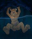  air_bubbles anthro balls barefoot bear cave erection front_view hi_res humanoid_penis looking_at_viewer male mammal nude paintfox partially_submerged penis peril raised_arm solo teddy_ruxpin underground 