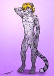  anthro balls cheetah feline fur hair hi_res hima_chita male mammal nude penis piercing solo standing tsaiwolf twink uncut 