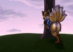  anthro butt canine clothing cub exposed feet female fox fur grass happy hi_res looking_at_viewer mammal multi_tail multicolored_fur pawpads paws pussy raised_leg robe smile solo sunrise tree x13 yellow_eyes young 