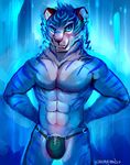 2016 abs anthro biceps blue_eyes blue_fur blue_hair blue_theme bulge cheetahpaws clothed clothing digital_media_(artwork) fangs feline fur hair looking_at_viewer male mammal muscular open_mouth pecs penis simple_background smile solo stripes teeth tiger topless underwear 