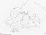  2016 anus butt cutie_mark dfectivedvice dock equine feathered_wings feathers female feral fluttershy_(mlp) friendship_is_magic mammal monochrome my_little_pony outside pegasus pussy simple_background solo underhoof white_background wings 