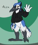  alex_williams aliasing avian barefoot beak bird blue_jay bottomless clothed clothing corvid english_text featureless_crotch flat_colors hi_res hoodie looking_at_viewer male mizzyam smile solo standing text waving winged_arms wings 