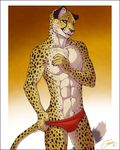  abs athletic body_hair cheetah chest_tuft clothed clothing feline feralise happy_trail looking_away male mammal pecs smirk solo spots taleron teasing thong topless tuft underwear 