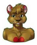  2013 alpha_channel anthro brown_fur brown_nose bust_portrait digital_media_(artwork) english_text feline fur green_eyes looking_at_viewer male mammal nude portrait red_fur signature smile solo teeth text touchofsnow whiskers 
