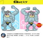  battle_girl_(pokemon) gen_1_pokemon machamp official_art pokemon pokemon_(creature) sexual_dimorphism translated 