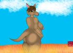  amy anthro belly big_breasts breasts butt crimsoncolored female field grass kangaroo looking_at_viewer looking_back mammal marsupial overweight slightly_chubby solo standing 