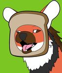  ambiguous_gender bread canine crimsoncolored derp_eyes food green_background grin inbread mammal maned_wolf open_mouth p&atilde;o_p&atilde;o simple_background smile solo teeth tongue wolf 