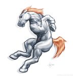  animal_genitalia anthro balls denver_broncos equine feral flaccid hair hooves horse laser_(artist) male mammal miles_(mascot) nfl nude orange_hair penis penis_tip sheath simple_background solo white_background 