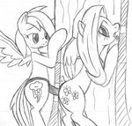  against_wall ambiguous_penetration anus black_and_white cutie_mark dildo drooling duo equine female female/female feral feral_on_feral fluttershy_(mlp) friendship_is_magic from_behind_position glory_hole looking_back mammal monochrome my_little_pony open_mouth pegasus penetration pussy rainbow_dash_(mlp) saliva sex sex_toy simple_background sketch strapon tg-0 tongue tongue_out wings 