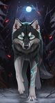  2015 absurd_res ambiguous_gender black_nose blue_eyes canine cloud detailed detailed_background feral forest fur glowing glowing_eyes hi_res looking_at_viewer magic mammal moon multicolored_fur night outside signature sky snow solo star tree two_tone_fur white_tail winter wolf yakovlev-vad 