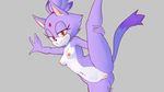  2016 absurd_res blaze_the_cat breasts feline female fur grey_background hi_res looking_at_viewer mammal multicolored_fur nipples nude purple_fur pussy raised_leg signature simple_background smile solo sonic_(series) sy_noon two_tone_fur 