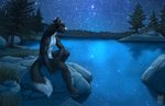  4_toes anthro black_fur black_hair black_tail canine detailed_background digital_media_(artwork) dipstick_tail fur grass grey_eyes hair long_hair male mammal multicolored_tail night nude outside sitting solo star toes tree vallhund water watermark white_fur white_nose white_tail wolf 