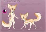  2016 animal_genitalia balls canine collar fennec feral fox male mammal model_sheet nude purple_eyes ruki_(character) rukifox semiferal sheath solo 