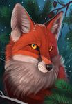  2015 amber_eyes black_nose canine cone digital_media_(artwork) feral fox fur hi_res looking_at_viewer mammal multicolored_fur outside red_fur snow solo tree white_fur winter yakovlev-vad 