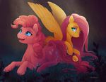  blue_eyes cutie_mark duo equine female fluttershy_(mlp) friendship_is_magic hi_res horse mammal my_little_pony pegasus pinkie_pie_(mlp) pony viwrastupr wings 