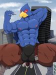  abs anthro avian beak belt biceps big_muscles blue_eyes blue_feathers bulge canine chest_tuft clothed clothing croiyan falco_lombardi feathers fox fox_mccloud hand_behind_head hi_res macro male mammal muscular nintendo nipples open_pants pants pecs sitting size_difference smile solo speedo star_fox swimsuit topless tuft underwear video_games wolf wolf_o&#039;donnell 