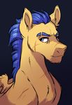  2016 blue_eyes blue_hair equine flash_sentry_(mlp) friendship_is_magic hair lopoddity male mammal my_little_pony pegasus portrait scar solo wings 