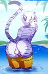  anus backsack balls butt butt_heart clothed clothing digital_media_(artwork) feline girly hi_res looking_at_viewer looking_back male mammal oops outside pants_down partially_clothed partially_submerged penis rear_view seductive shorts_down solo swimming_trunks swimsuit tiger tokifuji water wide_hips 