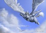  anhes anthro avian balls bird cloud dove equine feathers flaccid flying horse male mammal muscular pegasus penis sky white_feathers wings 