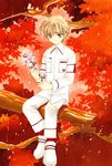  card_captor_sakura clamp li_syaoran male tagme 