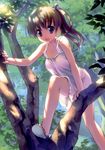  absurdres blue_eyes brown_hair copyright_request dress highres in_tree open_mouth ponytail sandals smile solo sundress takoyaki_(roast) tree 