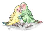  avian biped bird blue_feathers couple duo feathered_wings feathers female feral green_feathers hi_res lovebird male mionofdeath nude red_feathers simple_background traditional_media_(artwork) white_background wings yellow_feathers 
