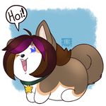  canine collar corgi dog english_text female feral fur hair husky mammal multicolored_hair redpandacase signature simple_background six solo star temmie_(undertale) text two_tone_hair undertale video_games 
