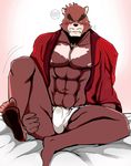  abs bear bearlovestiger13 brown_fur chest_tuft clothing digital_media_(artwork) duo facial_hair fur hair hi_res kumatetsu male mammal muscular nipples pecs shirt the_boy_and_the_beast tuft 