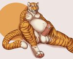  anthro balls belly cum cum_on_penis deessel erection feline fur hi_res looking_at_viewer male mammal nude overweight penis slightly_chubby solo tiger 