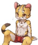  anthro blush briefs bulge cheetah chest_tuft claws clothing cub feline fur fur_markings male mammal multicolored_fur navel open_mouth orange_eyes raier sitting solo spread_legs spreading sweat sweatdrop tuft two_tone_fur underwear unrealplace young 