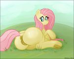  2016 anus big_butt butt equine female feral fluttershy_(mlp) friendship_is_magic mammal mittsies my_little_pony pegasus pussy solo wings 