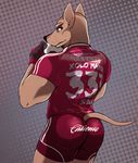  anthro ball bcokami butt canine clothed clothing dog hi_res looking_back male mammal muscular rear_view shorts soccer soccer_uniform solo sport tight_clothing 